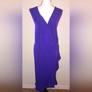 NWT Avenue Designer Stretch Dress (30/32)